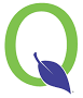 Q logo Q logo